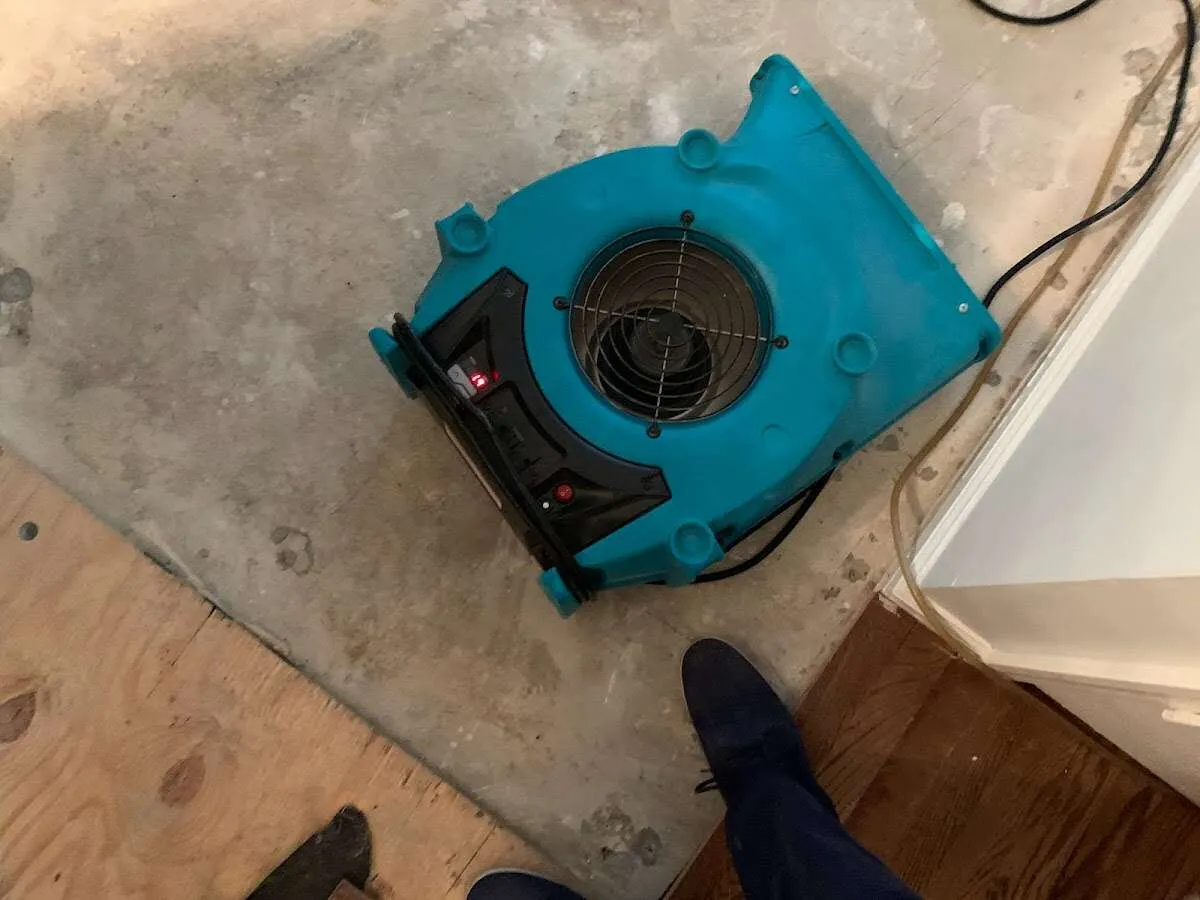 Air mover drying subfloor during Leak Detection & Repair in Daleville